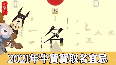 馬 取名|生肖馬取名宜忌：打造一生旺運好名字